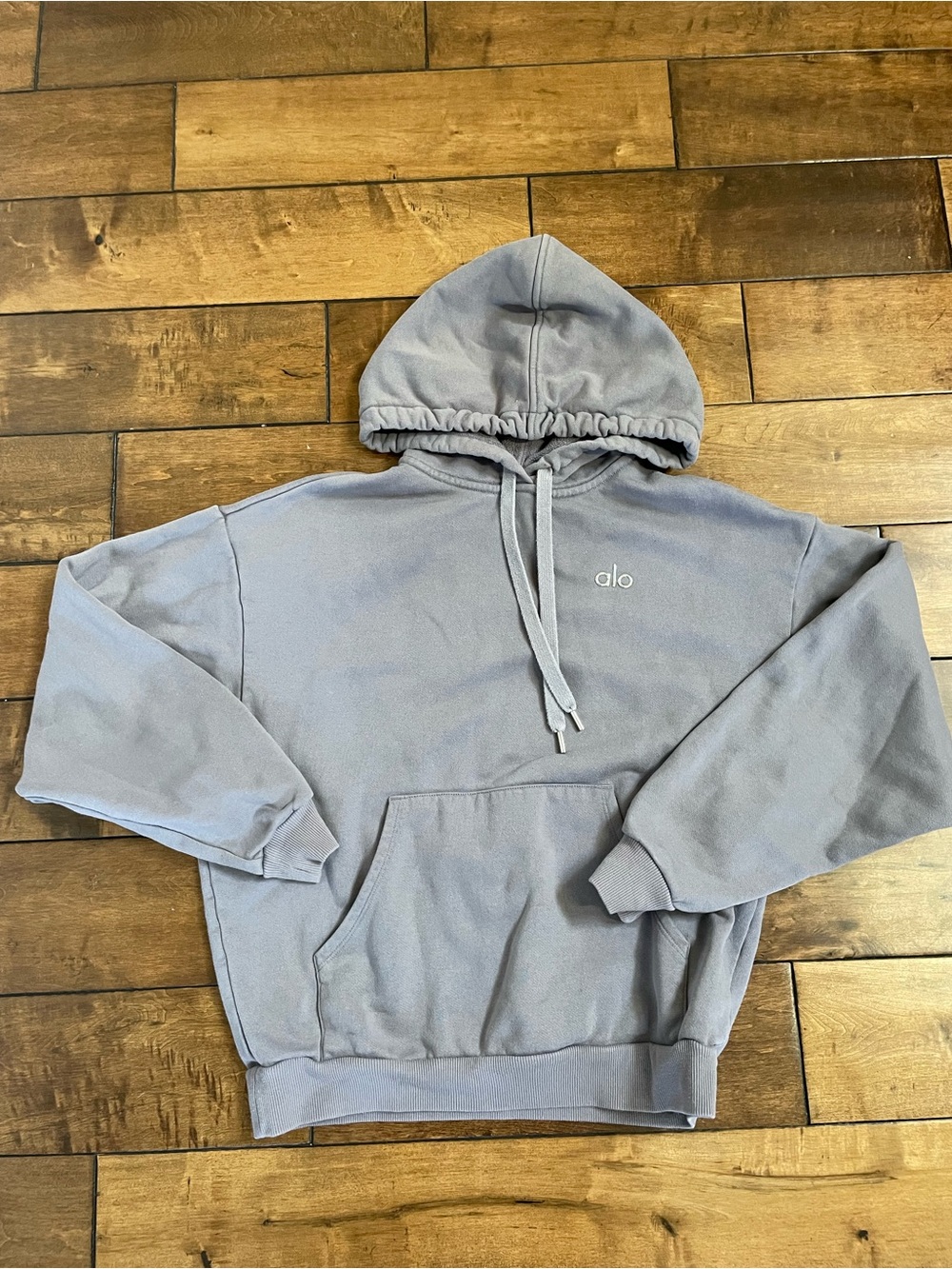 Alo Accolade Hoodie Size XXS